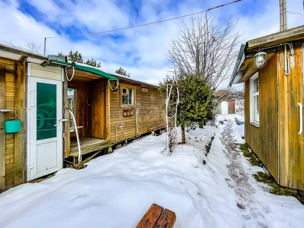 Участок в Санкт-Петербург, Санкт-Петербург, Сестрорецк Разлив СНТ, ... - Фото 1