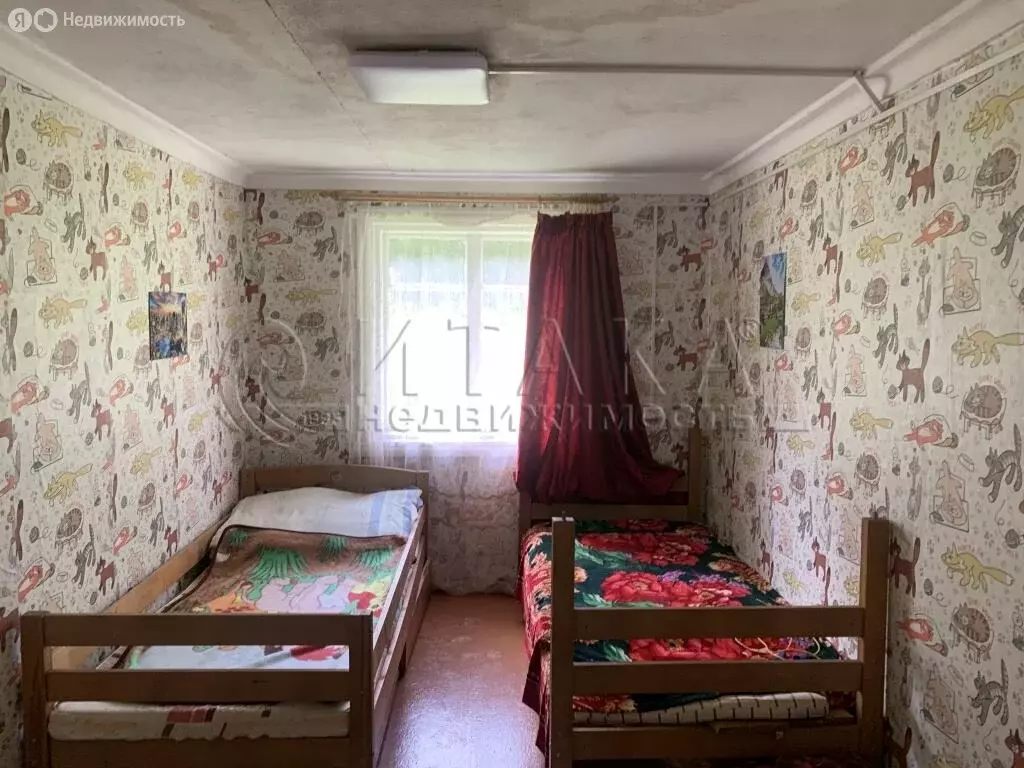 Дом в Янегское сельское поселение, деревня Рахковичи, 46 (41.7 м) - Фото 1