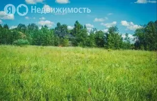 Участок в Искитимский район, Шибковский сельсовет, деревня Шибково ... - Фото 1