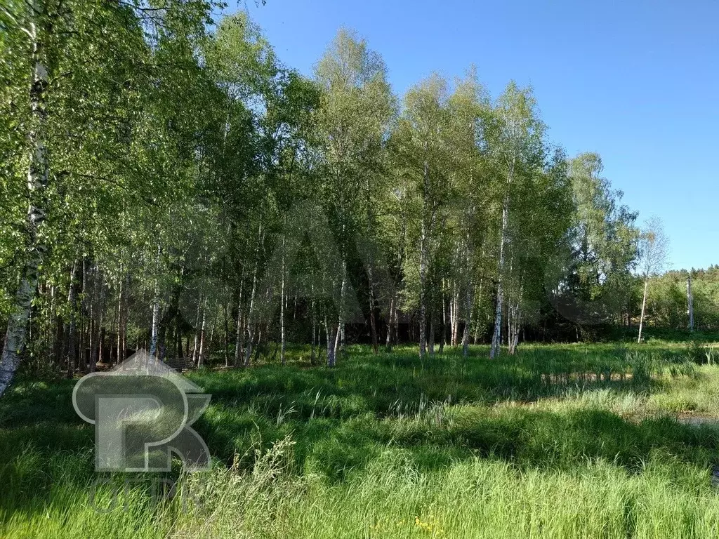 Участок 40 сот. (ИЖС) - Фото 1