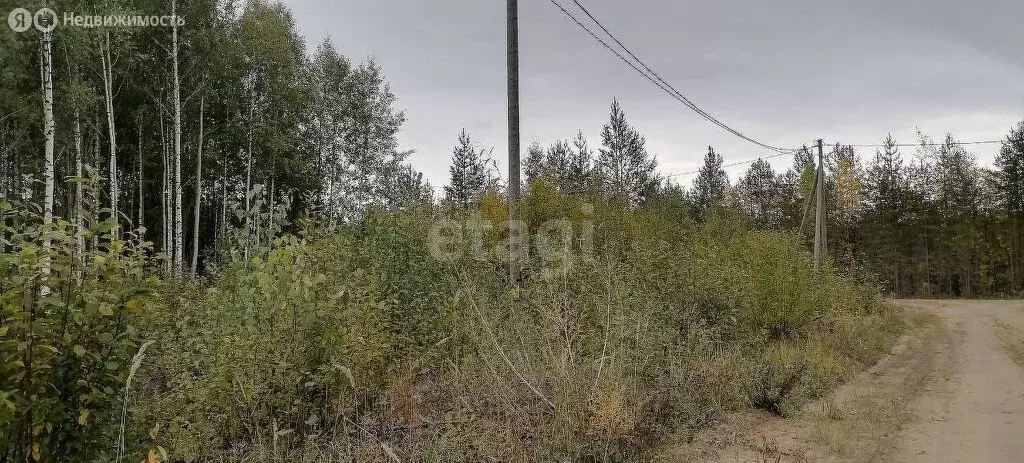 Участок в посёлок городского типа Верхняя Максаковка, 3-я линия (10.32 ... - Фото 1