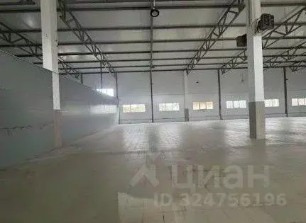 Склад в Ленинградская область, Отрадное Кировский район, Ленинградское ... - Фото 1