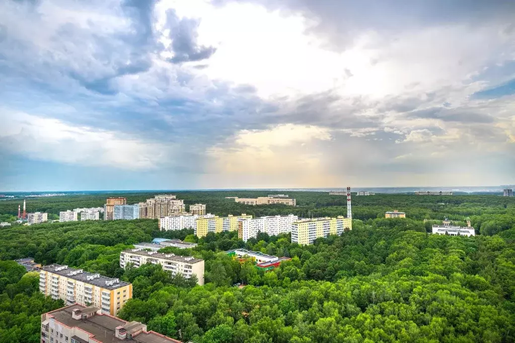 1-к кв. Москва ул. Академика Павлова, 56к1 (25.2 м) - Фото 0