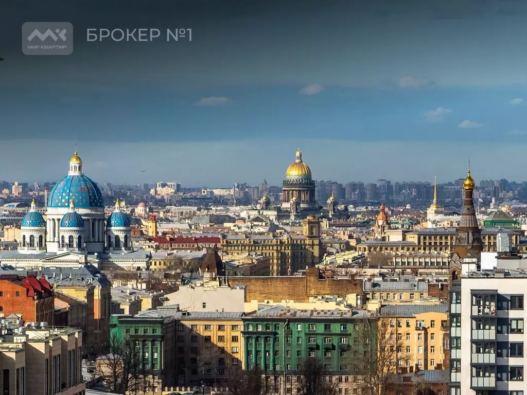 3-к кв. Санкт-Петербург ул. Парфеновская, 9к1 (88.4 м) - Фото 2