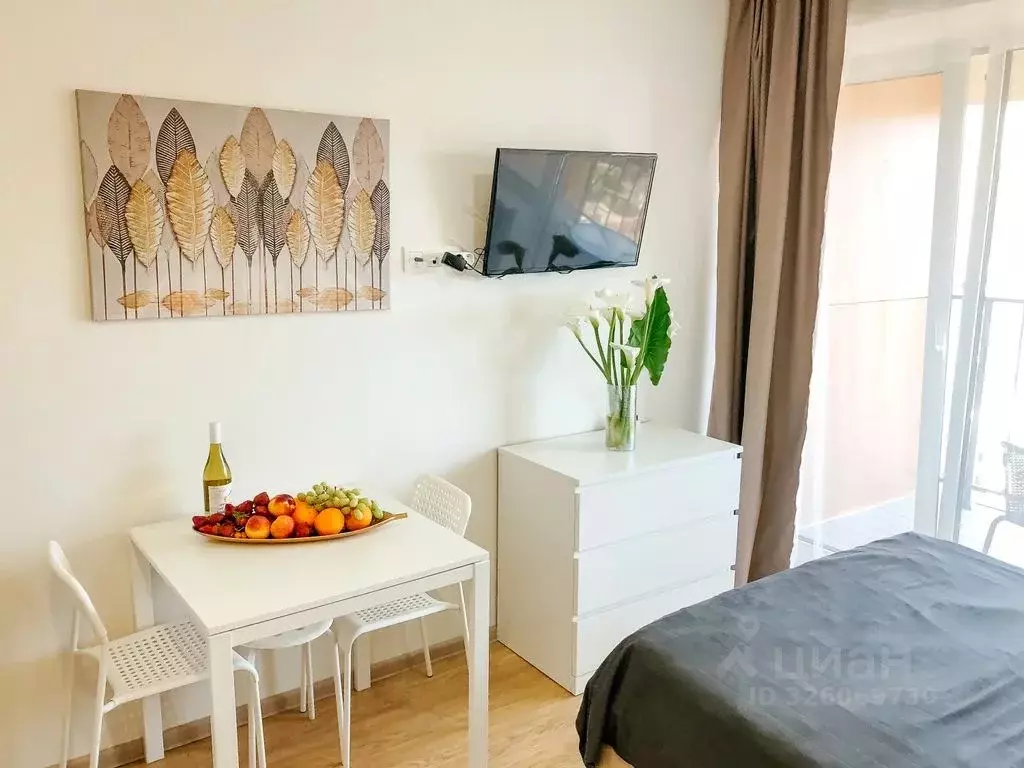 1-к кв. Краснодарский край, Сочи городской округ, Дагомыс пгт ул. ... - Фото 1