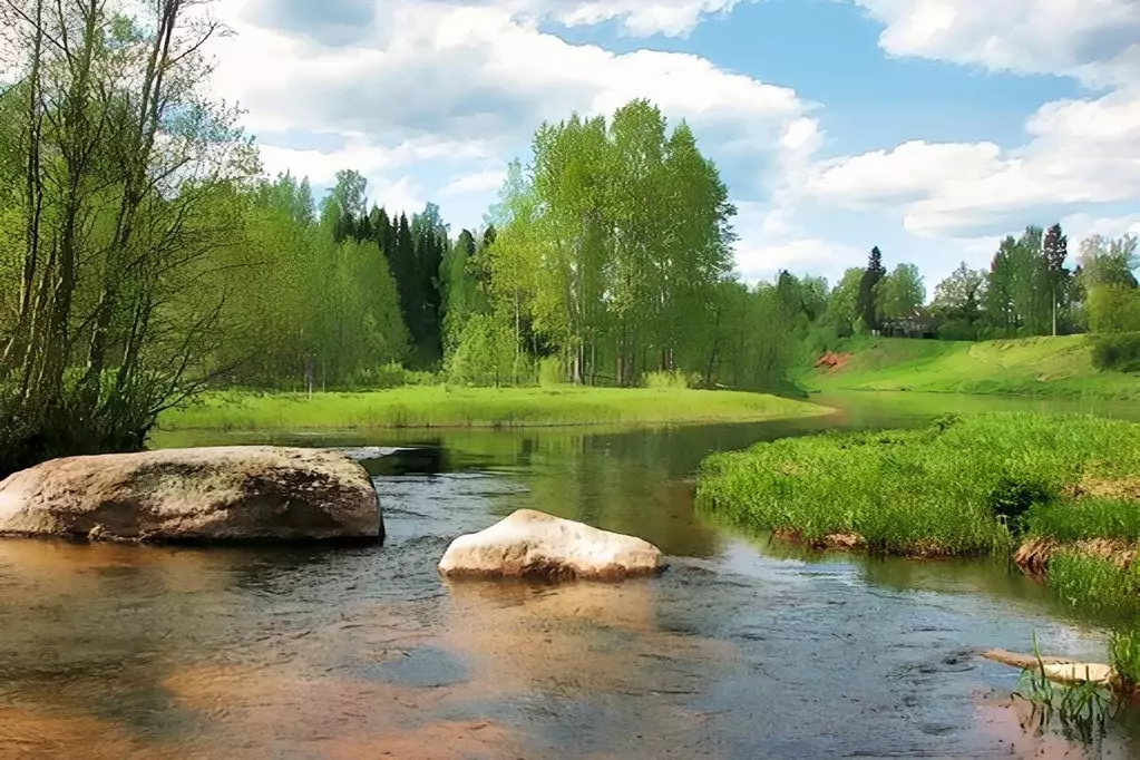 Участок в Ленинградская область, Гатчинский муниципальный округ, д. ... - Фото 1