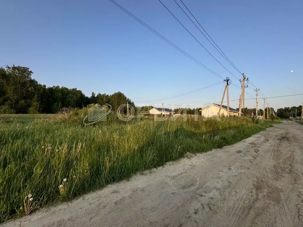 Участок в Тюменская область, Тюменский район, с. Перевалово ул. ... - Фото 2