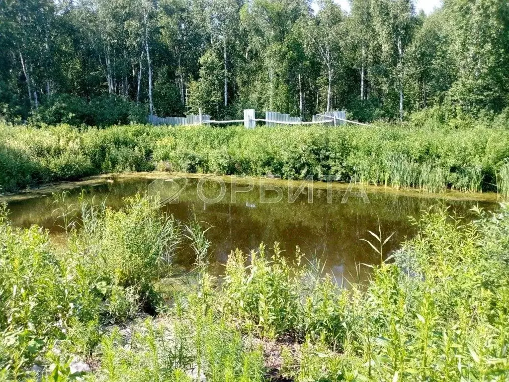 Дом в Тюменская область, Нижнетавдинский район, Здоровье-2 СНТ  (50 м) - Фото 1