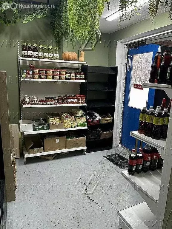 Помещение свободного назначения (166 м) - Фото 2