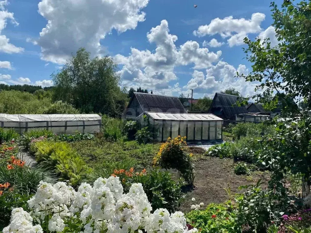 Дом в Курганская область, Курган Ивушка-2 СНТ, 45 (32 м) - Фото 1