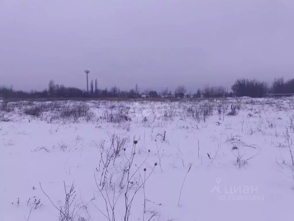 Участок в Саратовская область, Балашов ул. Территория Кирпичного ... - Фото 0