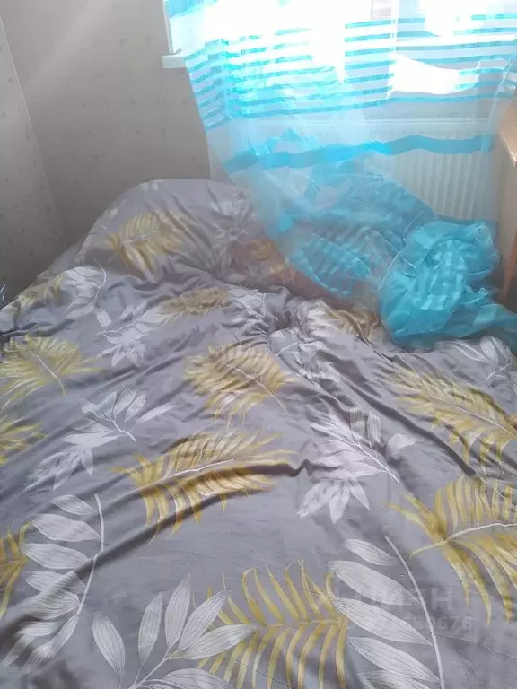 Комната Московская область, Раменский муниципальный округ, Быково пгт ... - Фото 2