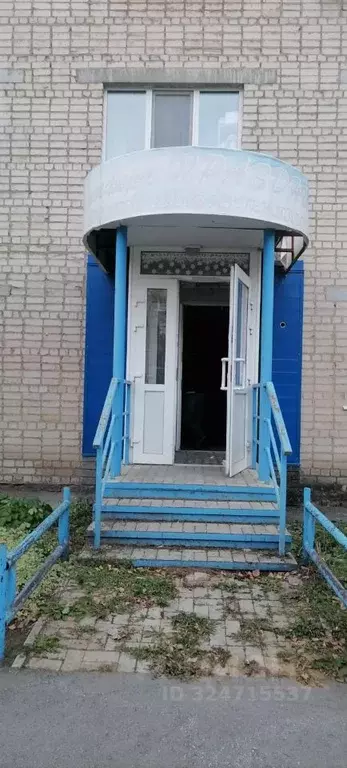 Помещение свободного назначения в Свердловская область, ... - Фото 1