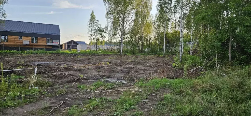 Участок в Новосибирская область, Новосибирский район, Станционный ... - Фото 2