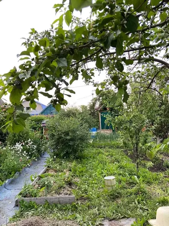 Участок в Ревда, садово-огородническое товарищество № 3 СУМЗа (6 м) - Фото 1
