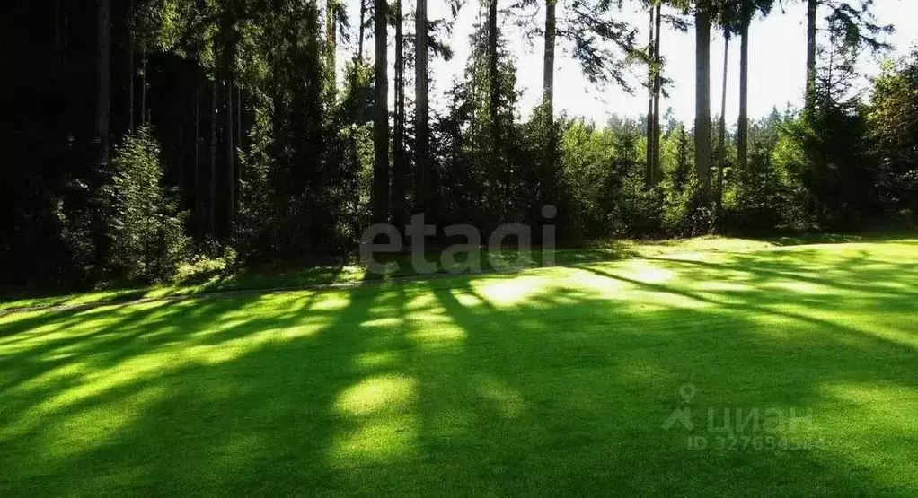 Участок в Пермский край, Пермь Надежда-1 СНТ, 52 (6.0 сот.) - Фото 1