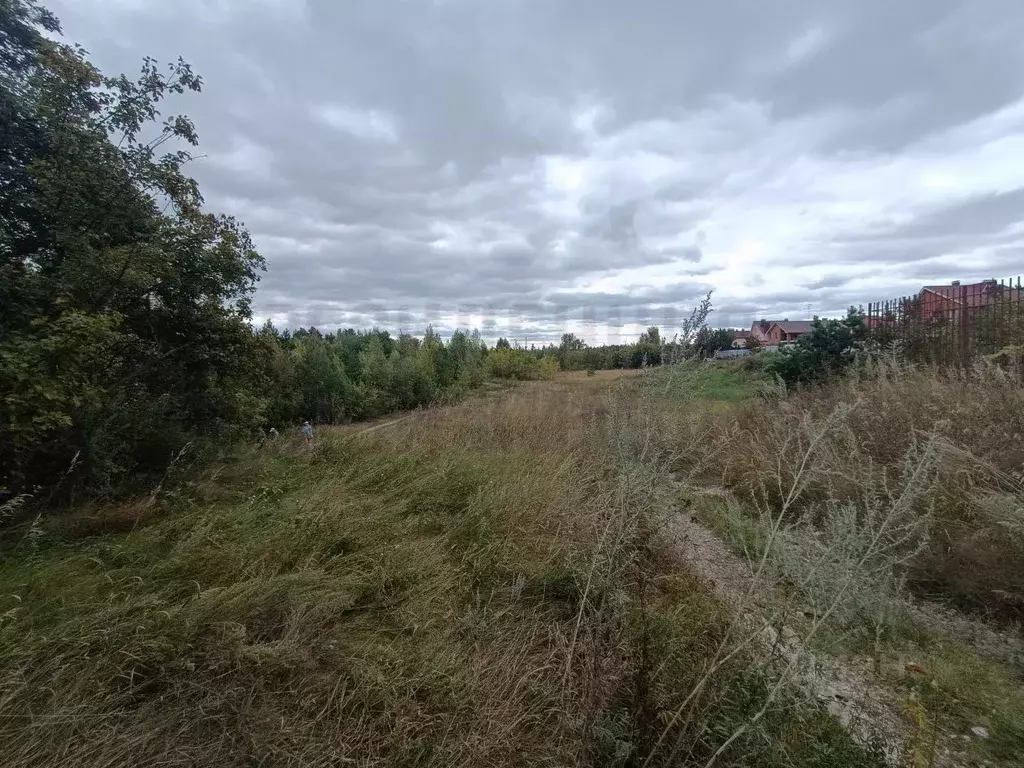 Участок в Самарская область, Красноярский район, Светлое Поле с/пос, ... - Фото 2