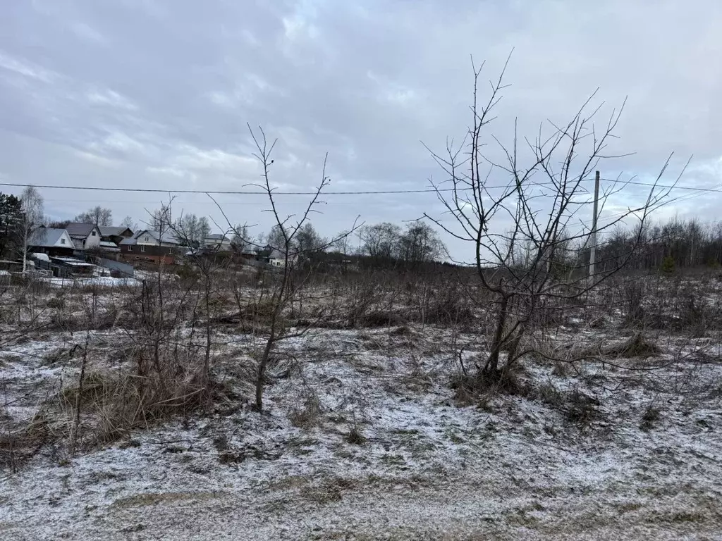 Участок в Московская область, Пушкинский городской округ, д. ... - Фото 1