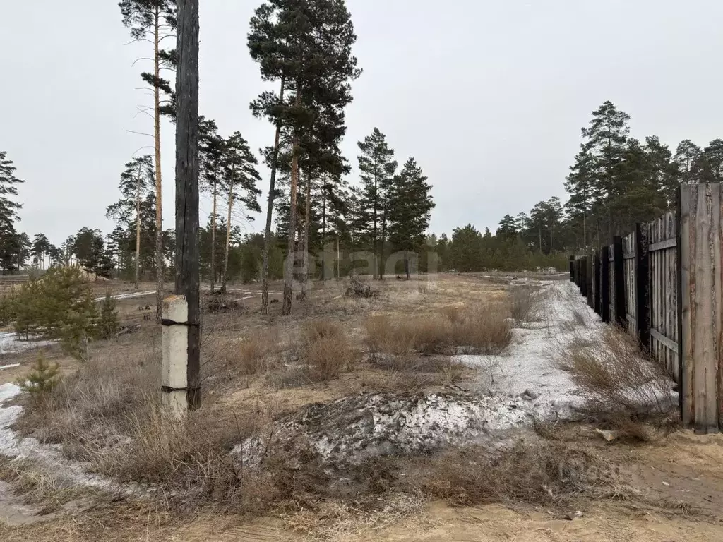 Участок в Бурятия, Улан-Удэ Лоза ДНТ, 15 (8.0 сот.) - Фото 1