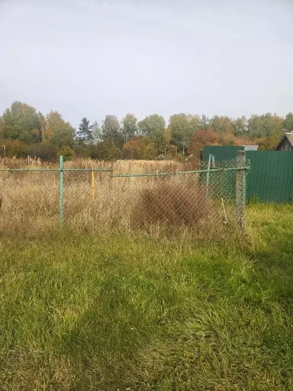 Участок в Рязанская область, Шиловский район, с. Тырново ул. Ловецкая, ... - Фото 0