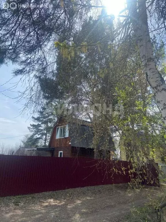 Дом в Новосибирск, садовое товарищество Пион, Ивовая улица (40 м) - Фото 1