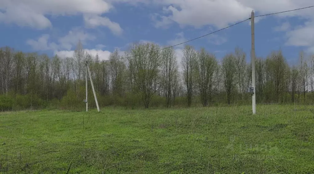 Участок в Ленинградская область, Всеволожский район, Романовское ... - Фото 2