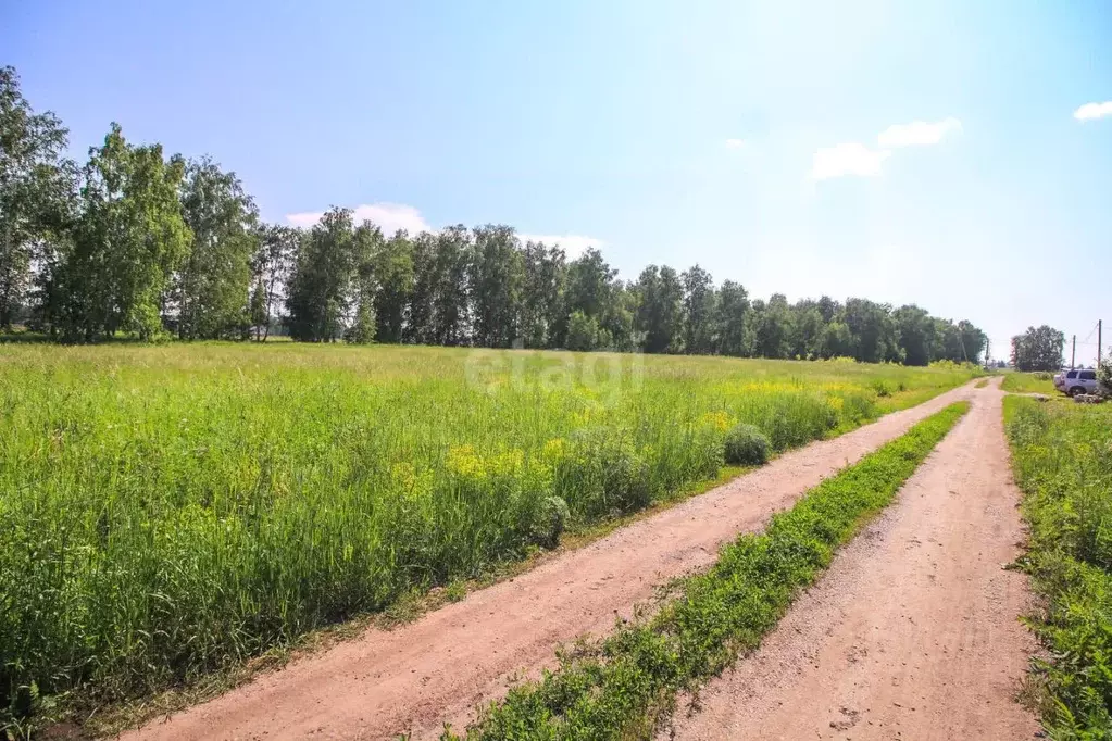 Участок в Алтайский край, Павловский район, П. Молодежный ДНТ  (100.0 ... - Фото 1