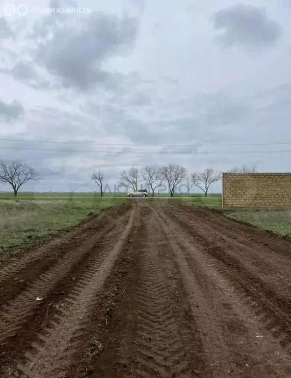 Участок в Сакский район, село Молочное (19892 м) - Фото 2