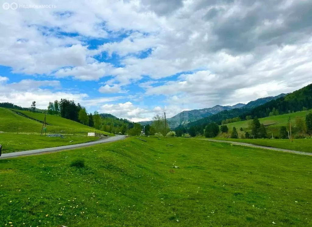 Участок в Чемальский район, Узнезинское сельское поселение, село ... - Фото 2
