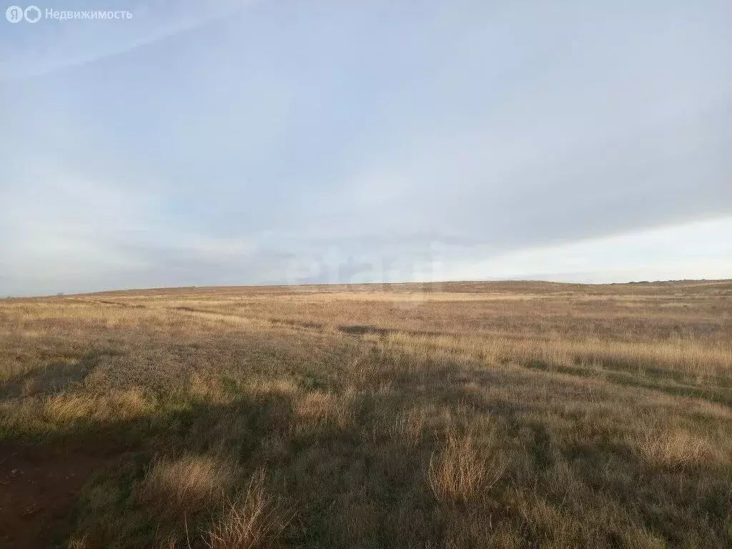 Участок в Каменское, Овражная улица (7 м) - Фото 1