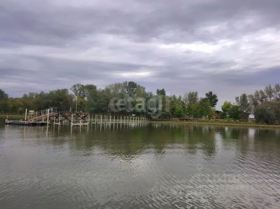 Участок в Ростовская область, Багаевский район, Манычское с/пос, ... - Фото 1