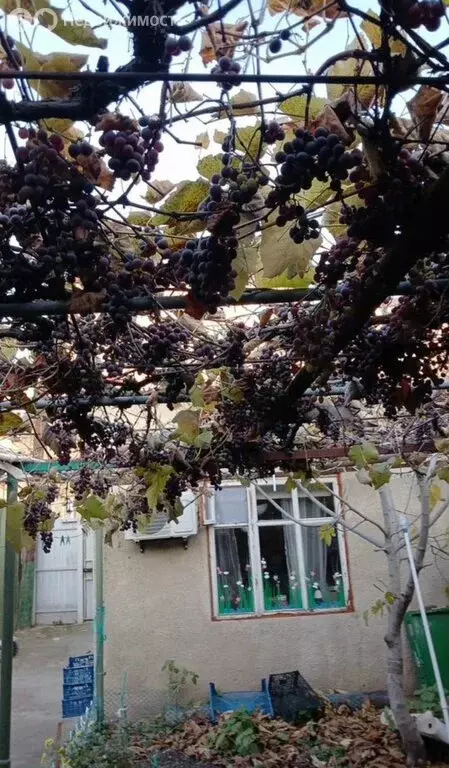 Дом в Анапа, Красноармейская улица (32 м) - Фото 0