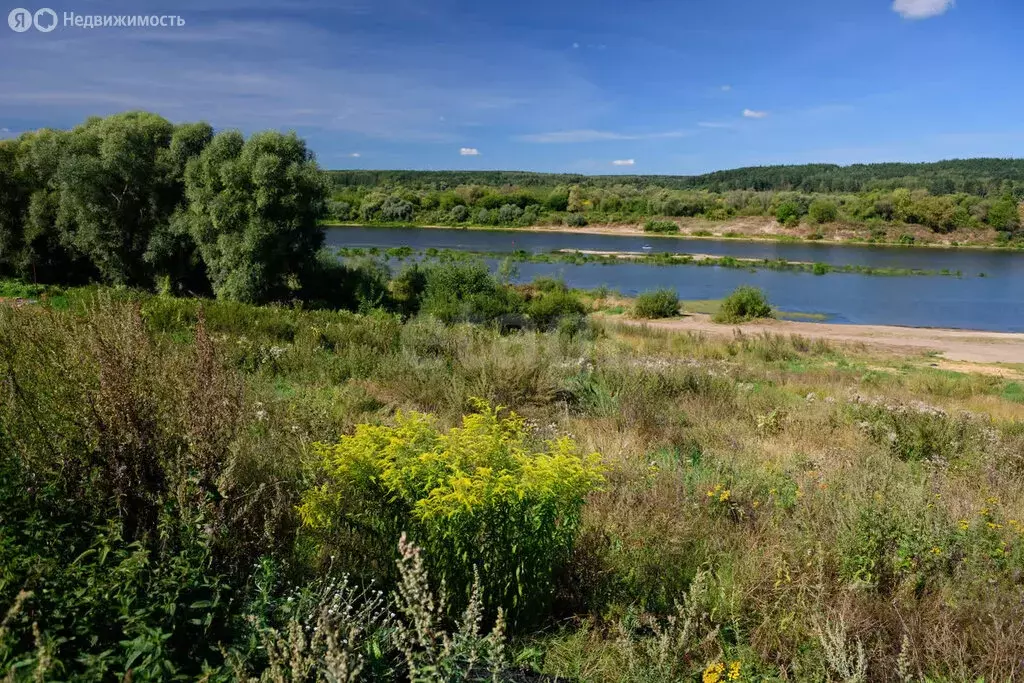 Участок в Тульская область, городской округ Алексин, село Бунырево ... - Фото 1