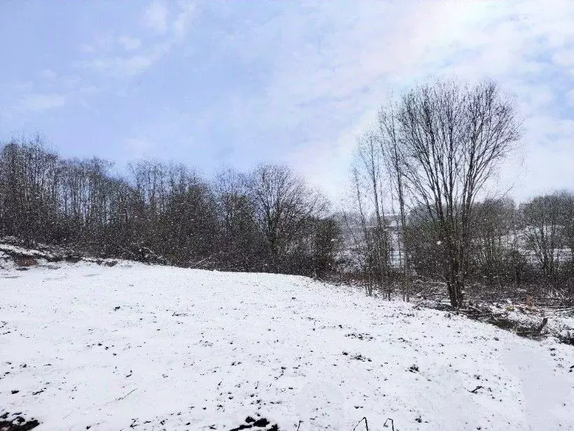 Участок в Московская область, Сергиево-Посадский городской округ, с. ... - Фото 1