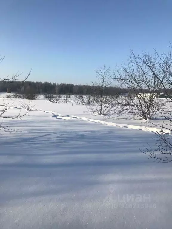 Участок в Московская область, Зарайск муниципальный округ, д. ... - Фото 1