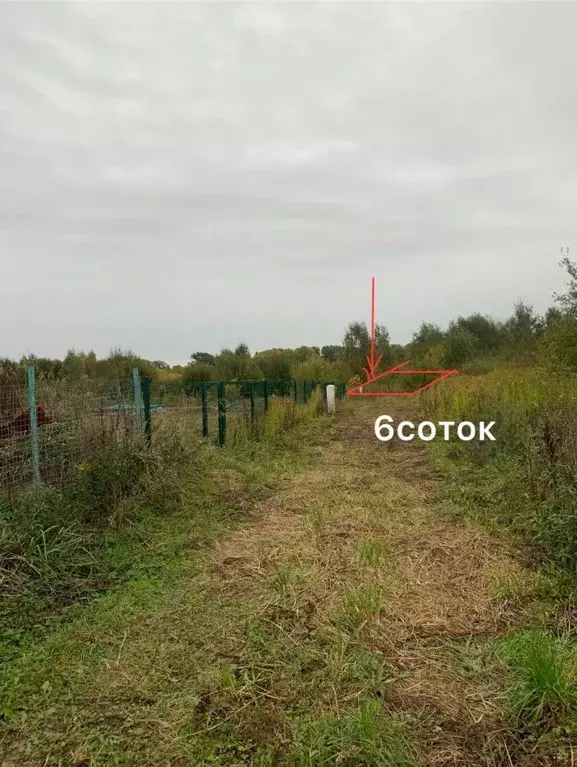 Участок в Калининградская область, Зеленоградск пос. Вишневое,  (6.0 ... - Фото 2