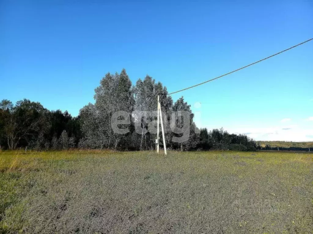 Участок в Калужская область, Калуга городской округ, д. Матюнино  ... - Фото 2