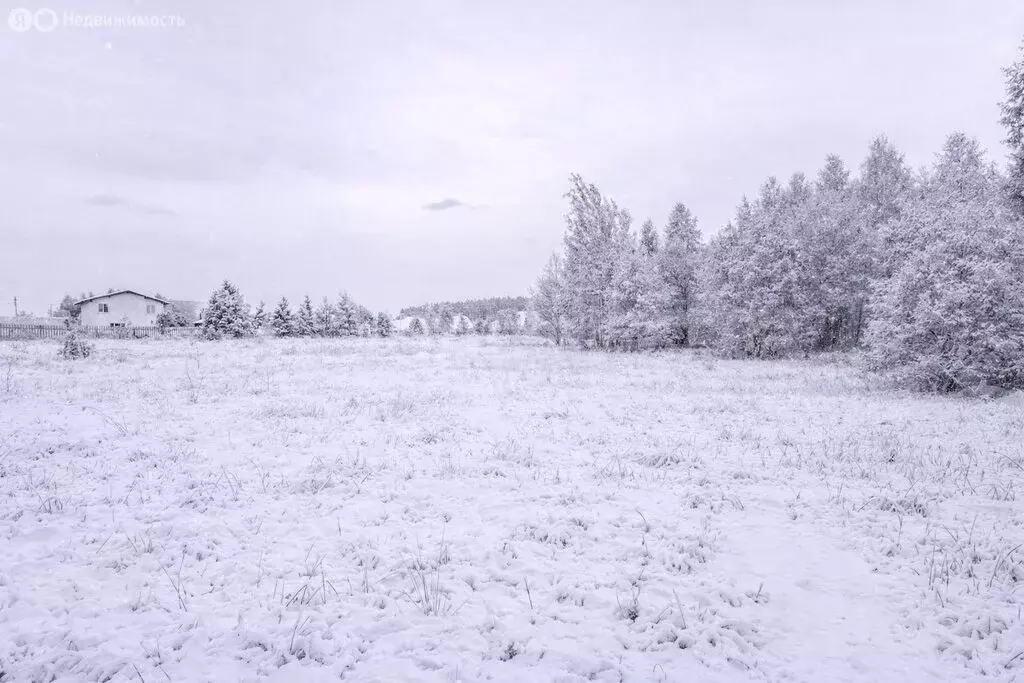 Участок в деревня Симбухово, Прудская улица (2 м) - Фото 2