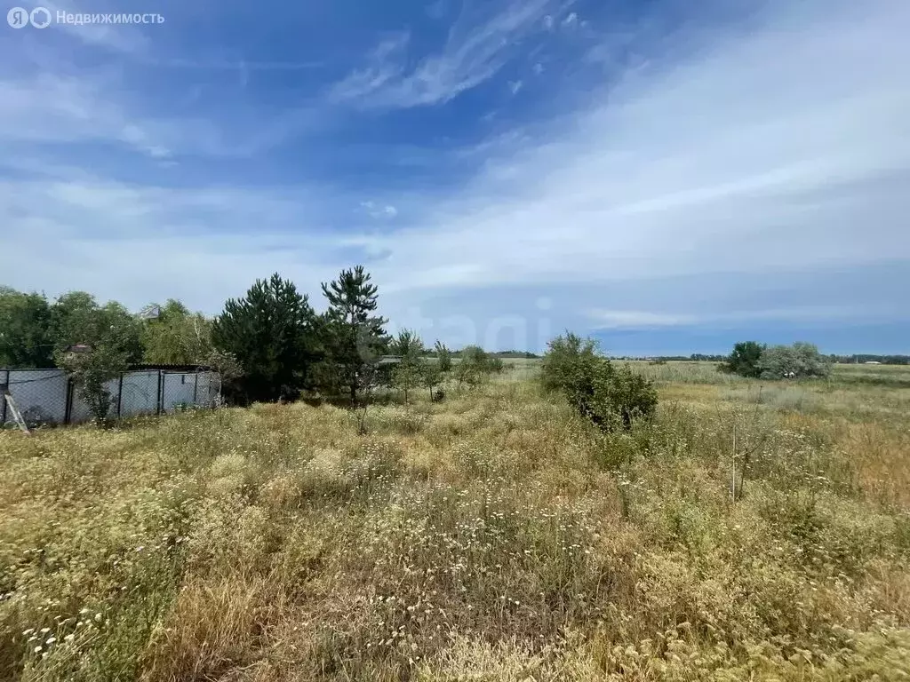 Участок в Азовский район, Задонское сельское поселение, дачное ... - Фото 0