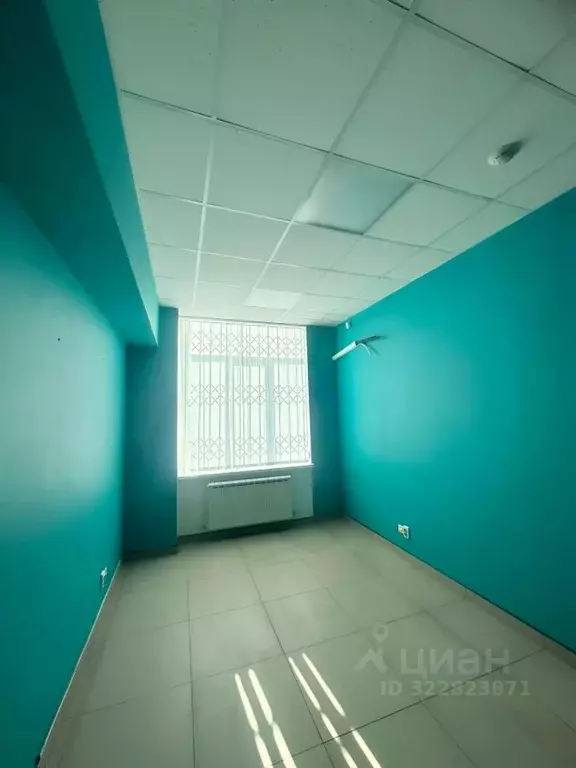 Офис в Новосибирская область, Новосибирск ул. Карла Либкнехта, 125 (25 ... - Фото 1