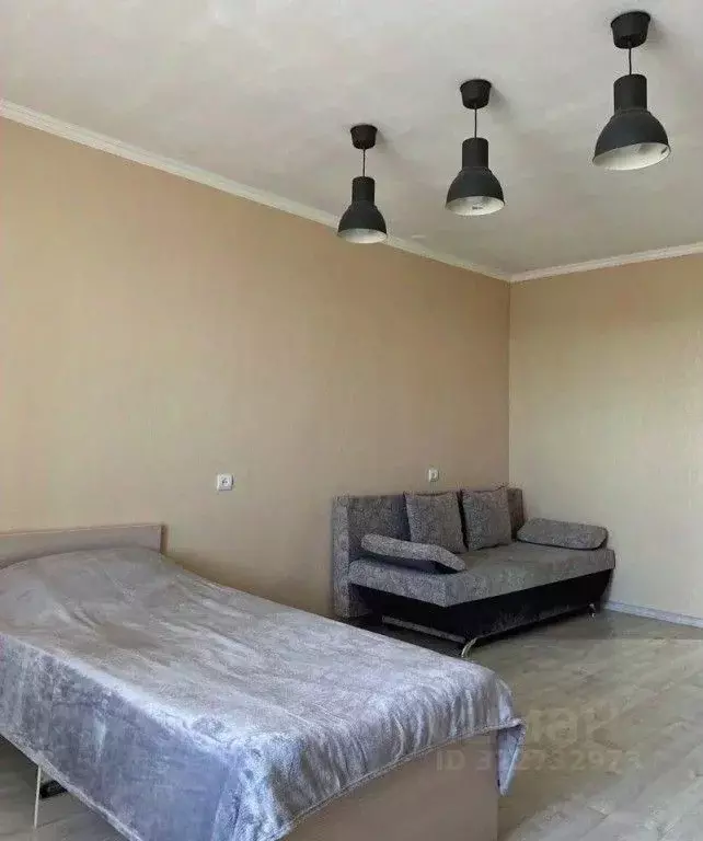 1-к кв. Амурская область, Благовещенск ул. Шимановского, 78 (46.0 м) - Фото 2