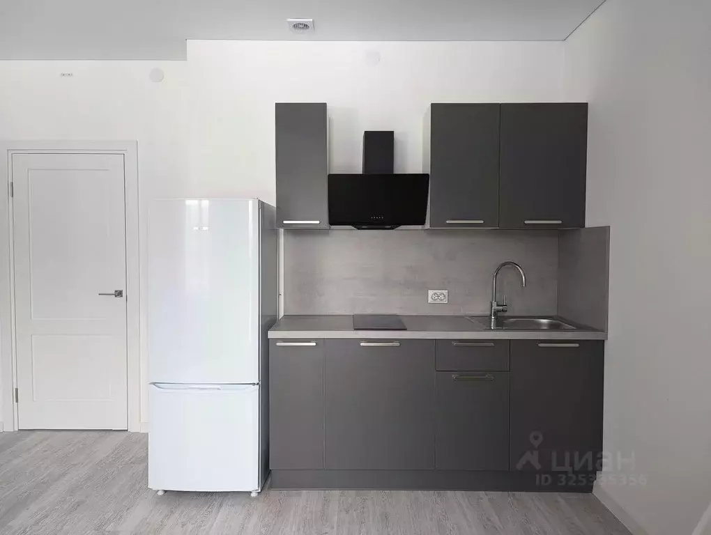 Студия Санкт-Петербург Пулковское ш., 95к4 (26.0 м) - Фото 1