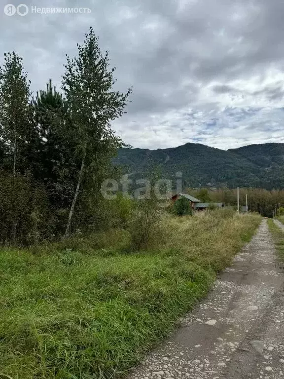 Участок в Майминский район, село Озёрное (20.2 м) - Фото 0