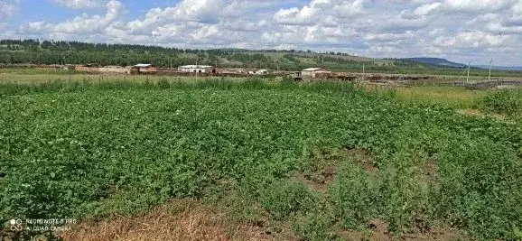 Дом в Иркутская область, Осинский район, Русские Янгуты муниципальное ... - Фото 2