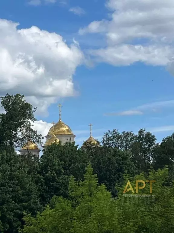 3-к кв. Московская область, Звенигород Одинцовский городской округ, ... - Фото 1