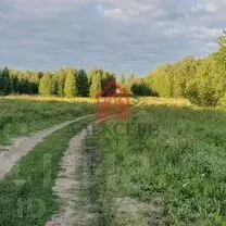 Участок в Курганская область, Курган Шепотково мкр,  (45.0 сот.) - Фото 2