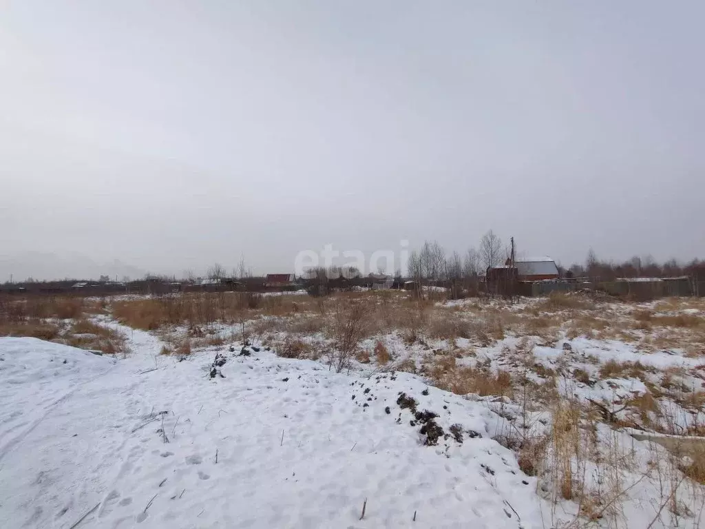 Участок в Забайкальский край, Чита № 107 Кадалинка СТ,  (500.8 сот.) - Фото 2