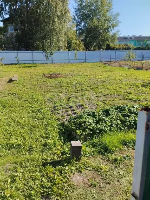 Участок в Брянская область, Трубчевский район, Белоберезковское ... - Фото 1