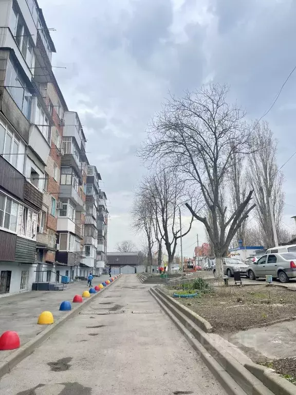 3-к кв. Ростовская область, Ростов-на-Дону Книжная ул., 175/69 (55.0 ... - Фото 2