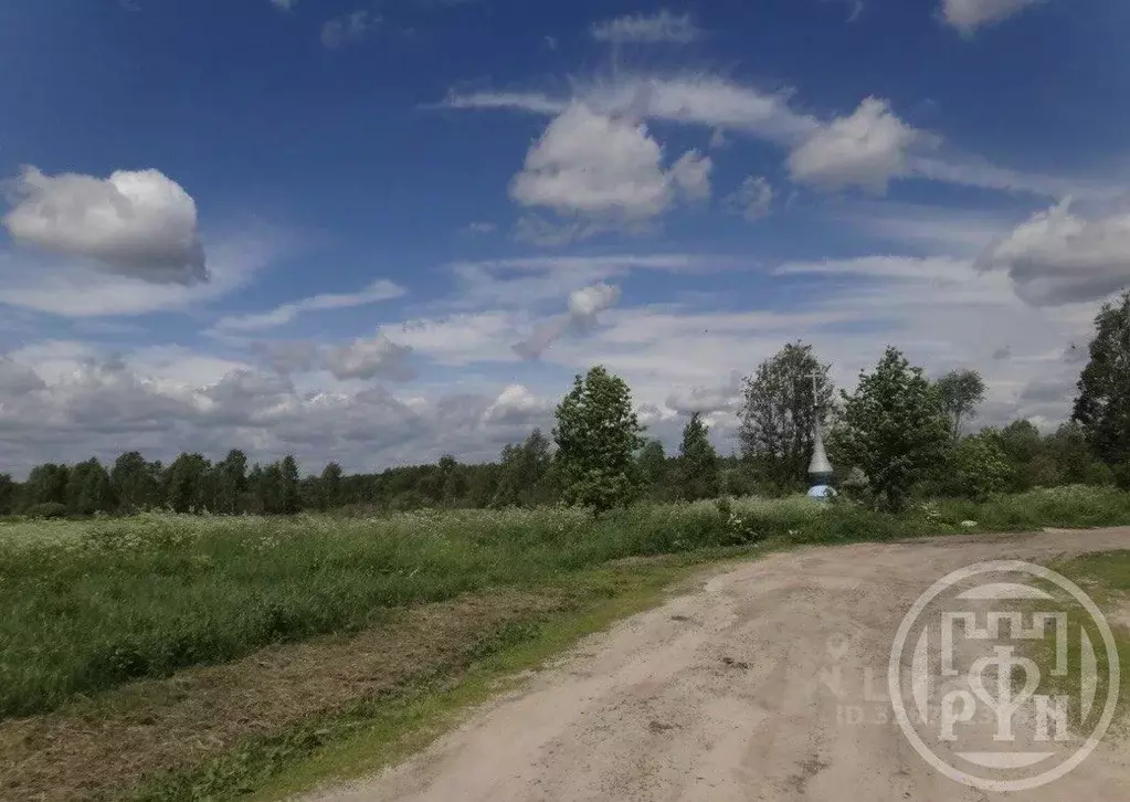 Участок в Московская область, Шатура муниципальный округ, с. Пустоша  ... - Фото 2
